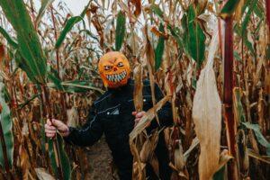 A scare actor waits for visitors in the haunted corn maze at Cox Farms Fields of Fear. Read these 10 Cox Farms Fields of Fear Halloween safety tips.